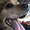 Photo of Ruffo V.
