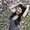 Photo of Jessica L.