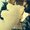 Photo of Cloud N.