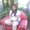 Photo of Tami A.