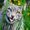 Photo of Qype User (sissi1…)