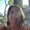 Photo of Sue D.