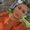 Photo of Paola B.