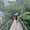 Photo of Suraj S.