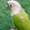 Photo of Sal K.