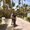 Photo of Shaheen L.