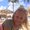 Photo of Jasmine K.