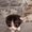 Photo of Phoebe L.