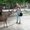 Photo of Samantha D.