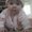 Photo of Cat L.