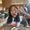 Photo of Geleen Joy D.