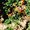 Photo of Emily T.
