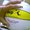 Photo of Waveos H.