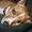 Photo of Cindi B.