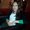 Photo of Qype User (nilüfe…)