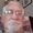 Photo of Tony P.