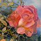 Lynne T.