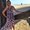 Photo of Amanda P.