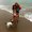 Photo of Renette C.