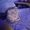 Photo of Angelynne H.