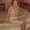 Photo of Ada R.