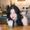 Photo of Jasmine T.