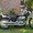 Photo of Strider B.