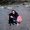 Photo of Cassie S.