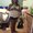 Photo of Latisha P.