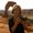 Photo of Annick H.