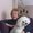 Photo of Carol J.