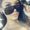 Photo of Shannen A.