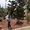 Photo of Chau L.