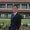 Photo of Paolo D.