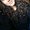 Photo of Danielle R.