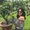 Photo of Amanda C.