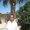 Photo of Melody S.