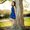 Photo of Christine X.