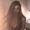 Photo of Natalie G.