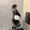 Photo of Cesia M.