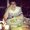 Photo of Andy M.