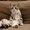 Photo of Sabrina J.