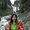 Photo of Sabrina M.