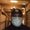 Photo of Armando G.
