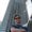 Photo of Niall S.