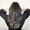 Photo of Maryann C.