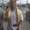 Photo of Aman R.