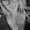 Photo of Marissa H.