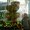 Photo of M_ M.