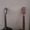 Photo of Nyles S.